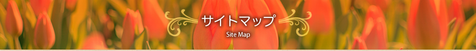 サイトマップ