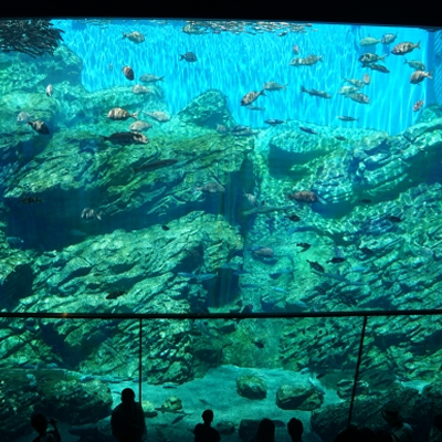 仙台うみの杜水族館